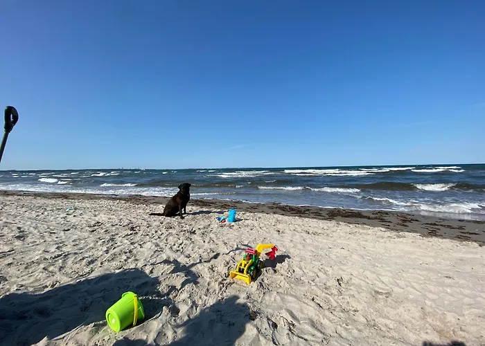 Lägenhet Modernes An Timmendorfer Promenade, 1. Reihe *